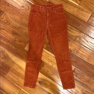 Patagonia Corduroy Pants in Rust